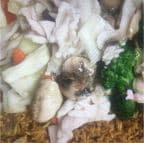 Best Moo Goo Gai Pan (Combo Platter) in Fayetteville, NC